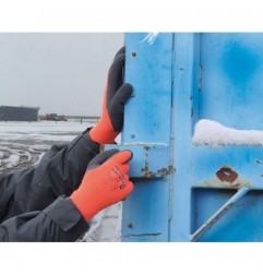 Gants Freezing pro - Lot de 10 paires