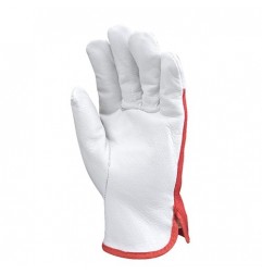 Gants de maitrise tout fleur bovin 50f - Lot de 10 paires